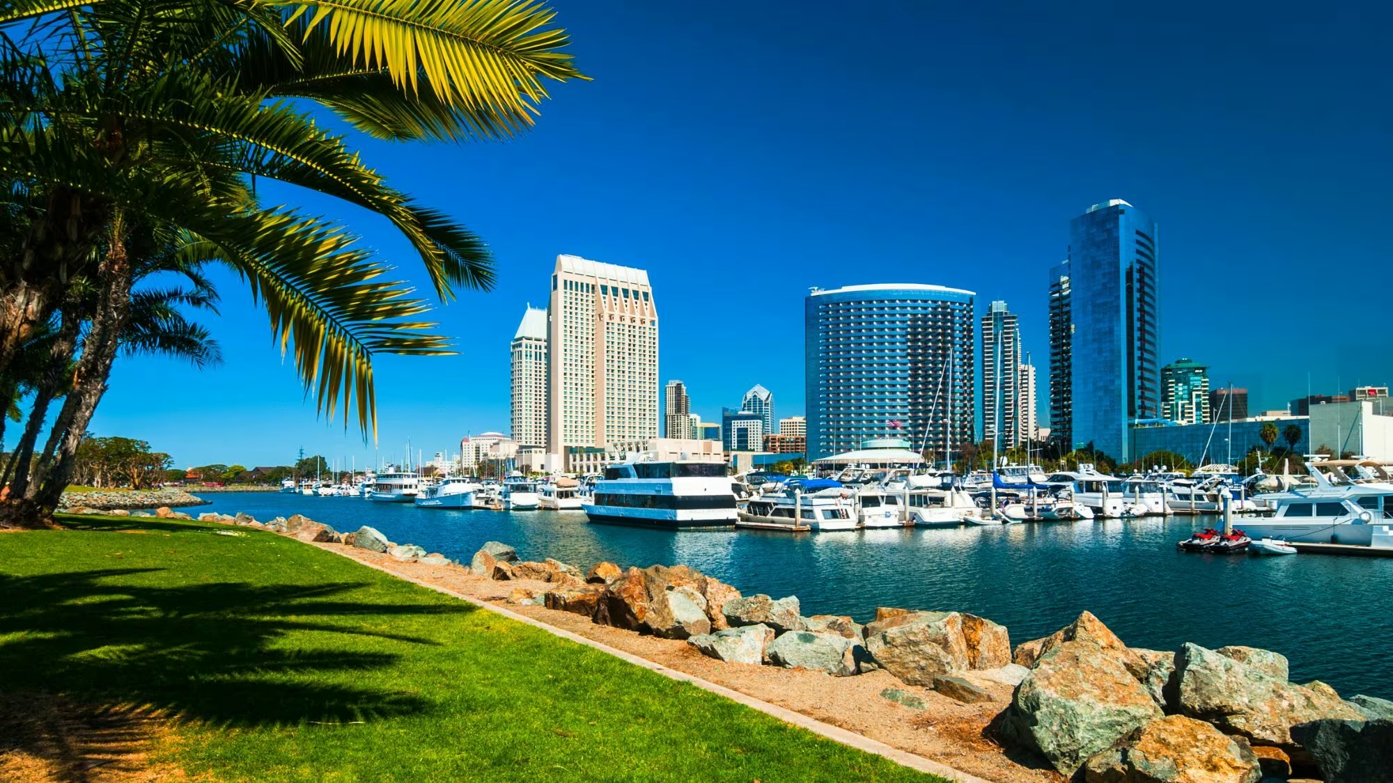 San Diego Coverage